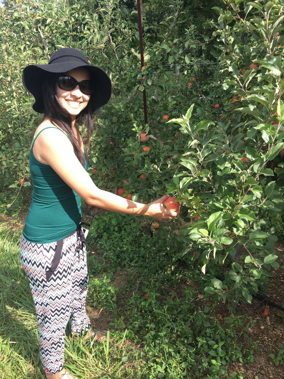 Paloma-Rao-Larriland-Apple