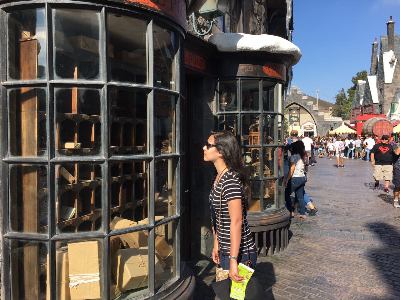 The Wizarding World of Harry Potter- A Universal Studios Experience